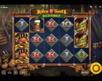 robin hoods wild forest