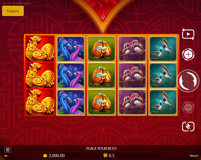 rooster in love