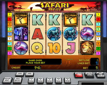 safari heat