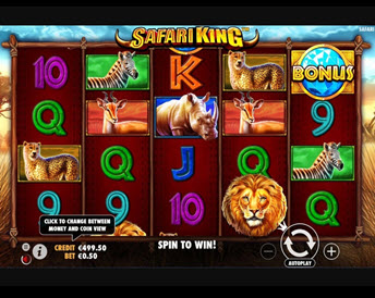 safari king