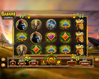 safari stampede