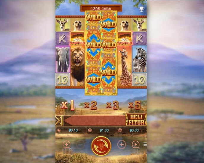 safari wilds