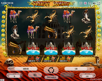 sahara’s dreams