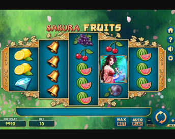 sakura fruits