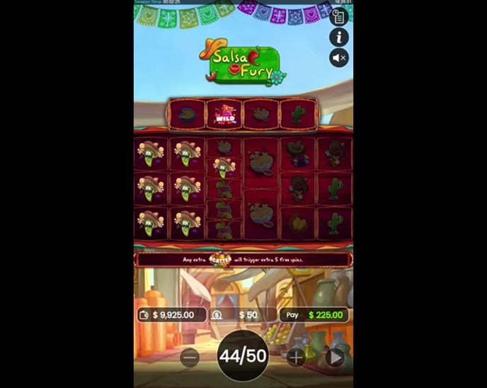 salsa fury