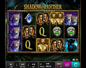 shadow of the panther