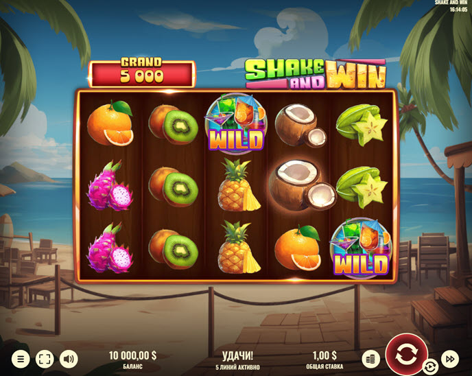 shake and win