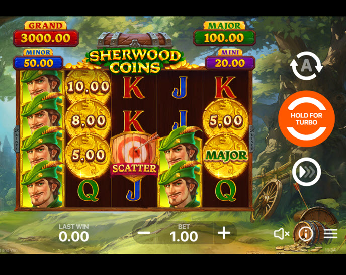 sherwood coins: hold and win