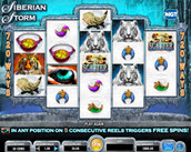 siberian storm