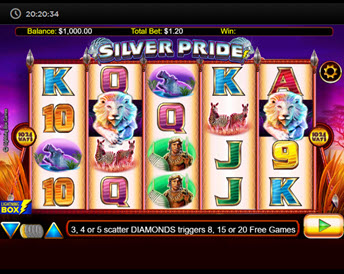 silver pride