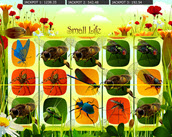 small life