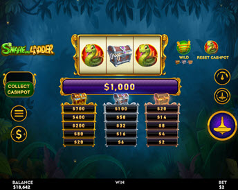 snakes and ladder (top spin games)