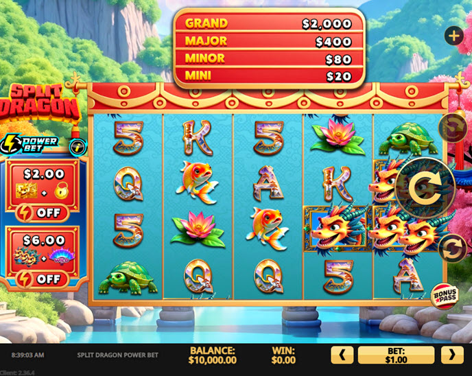 split dragon power bet