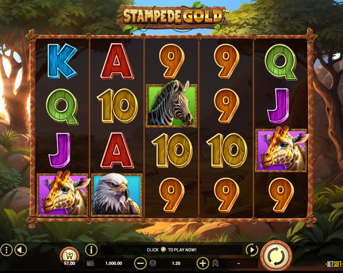 stampede gold