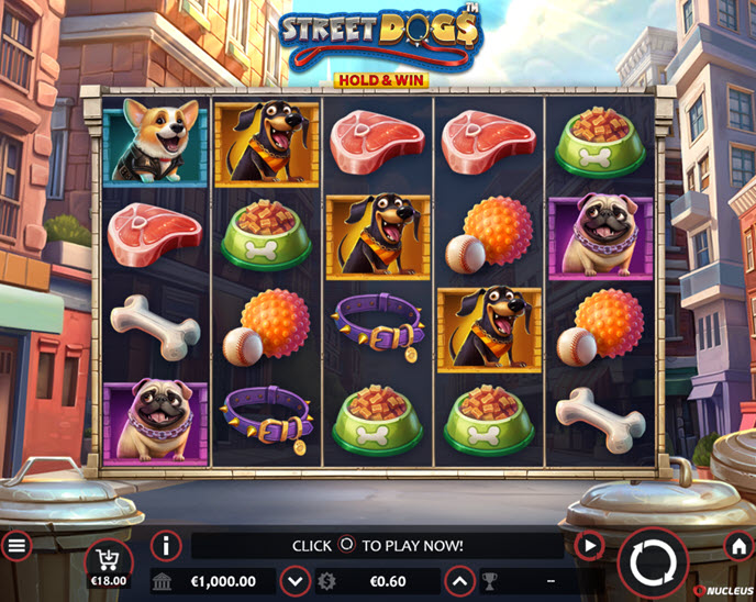 street dogs