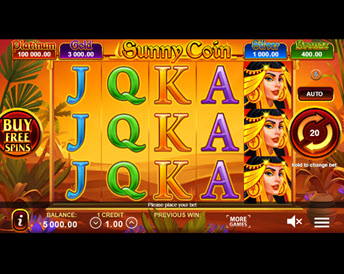sunny coin: hold the spin