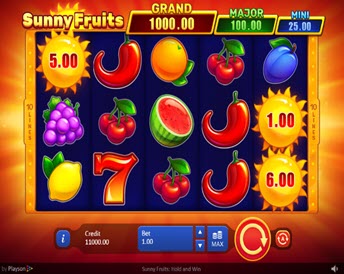 sunny fruits