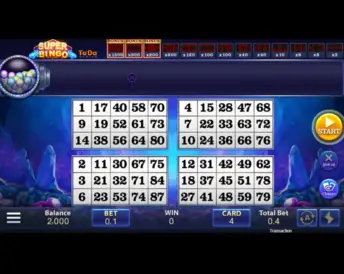 Super Bingo