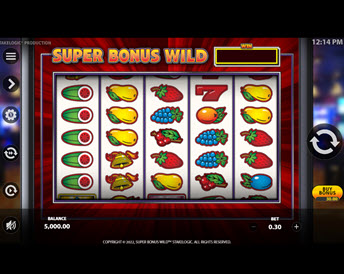 Super Bonus Wild