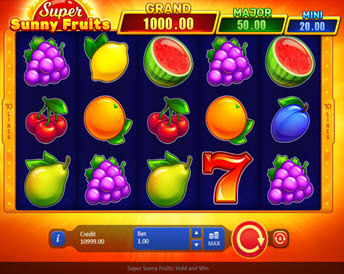 super sunny fruits
