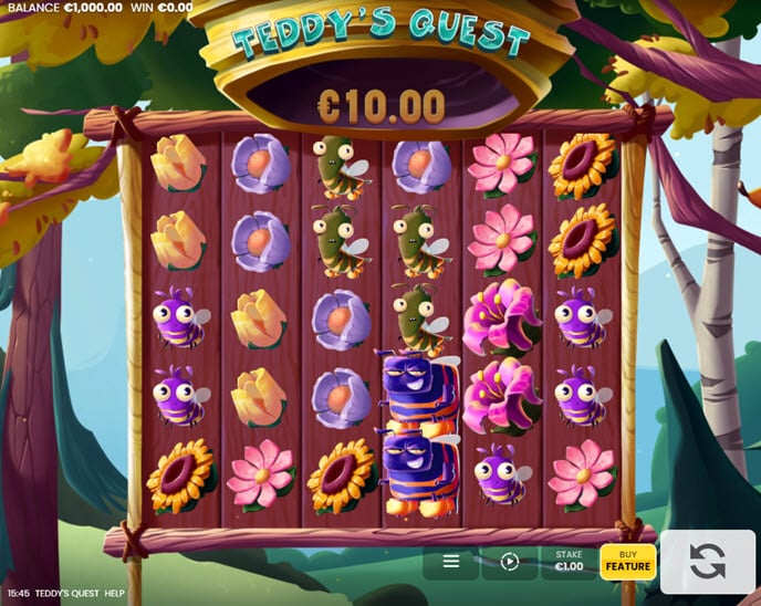 teddy’s quest