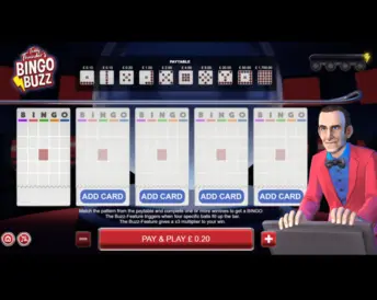 teddy thunders bingo buzz
