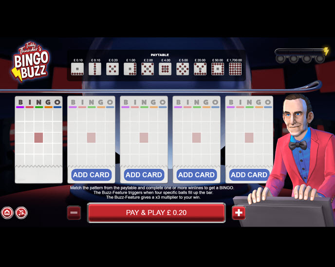 teddy thunders bingo buzz