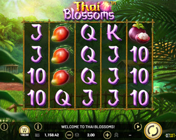 thai blossoms
