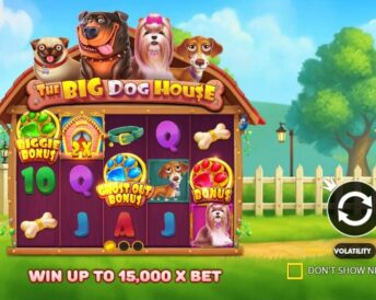 The Big Dog House