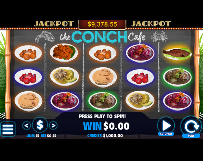 the conch cafe
