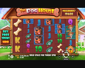 the dog house megaways