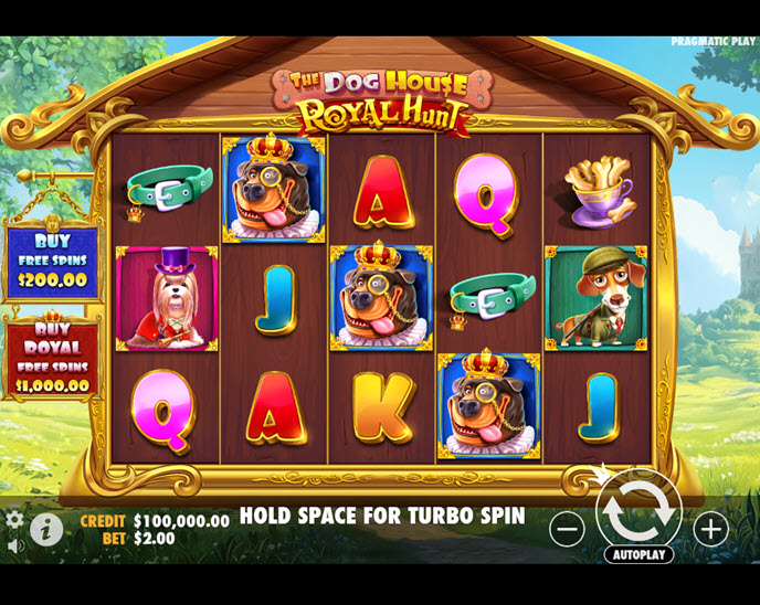 the dog house royal hunt