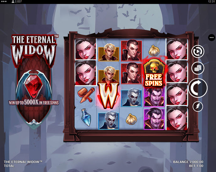 the eternal widow