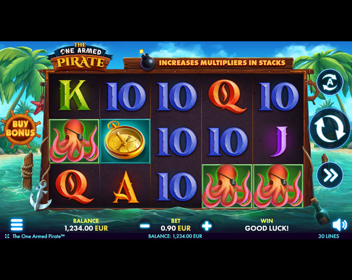the one armed pirate