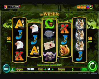 the wildlife