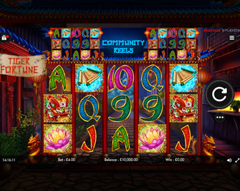 tiger fortune