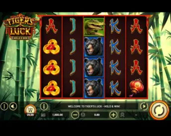 Tiger’s Luck