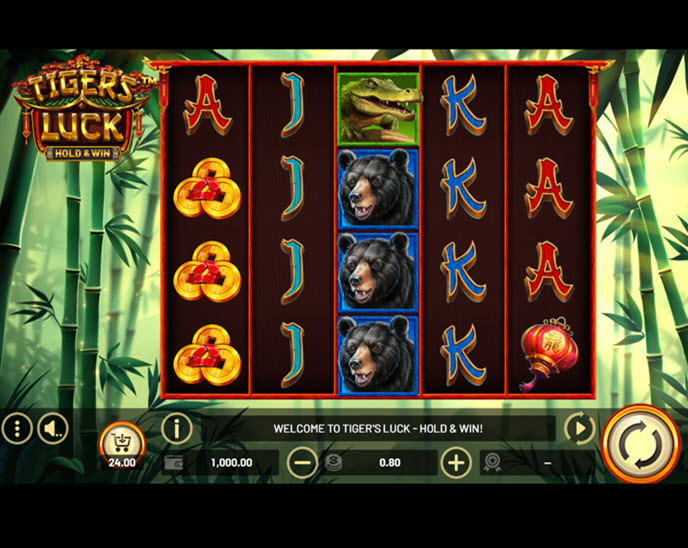 tiger’s luck