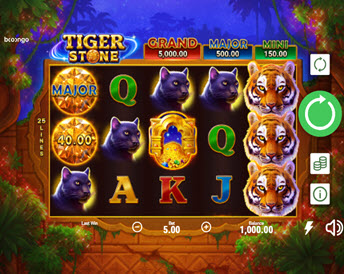 tiger stone