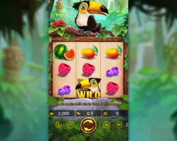 Toucan (VA Gaming)