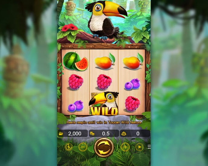 toucan (va gaming)