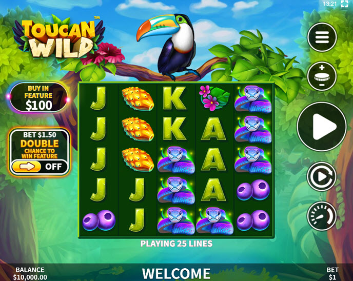 toucan wild