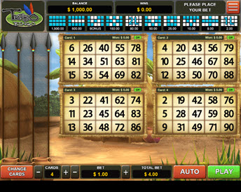 tribo bingo