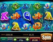 tropical aquarium