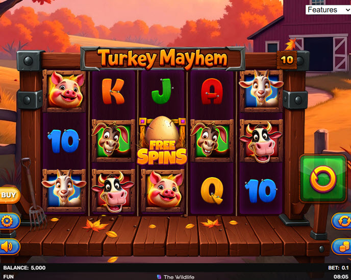turkey mayhem