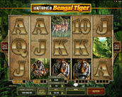 untamed bengal tiger