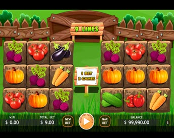 veggies plot
