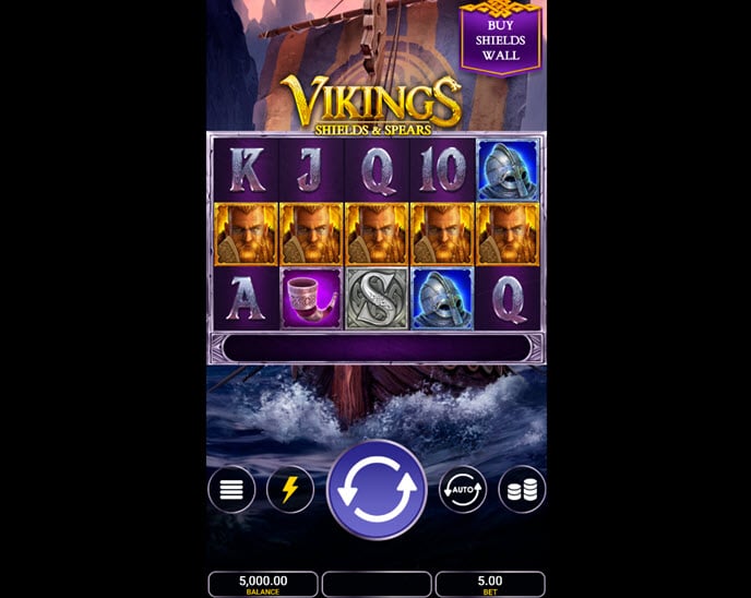 vikings shields & spears