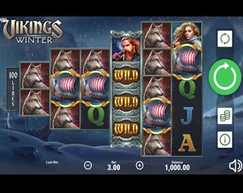 vikings winter