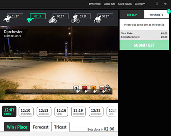 virtual greyhounds races – scheduled